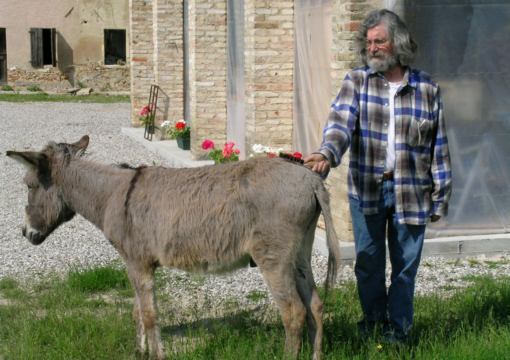 Giulio Belluz